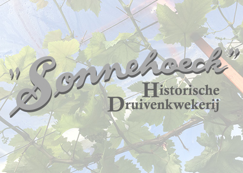 Druivenkwekerij Sonnehoeck